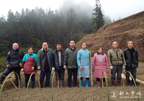 beat365官网高健强副教授研究成果“燕飞1号”土人参实现规模化生产