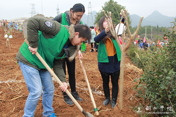 beat365官网积极参与铜仁市“共青林”植树活动