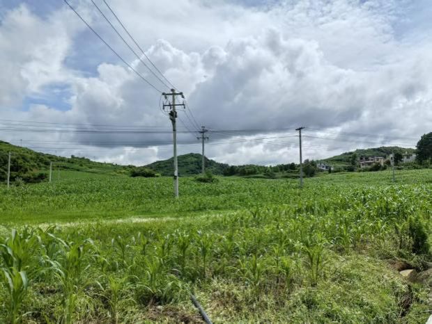 3d3356f8b59bd122ba5f436014a093d6