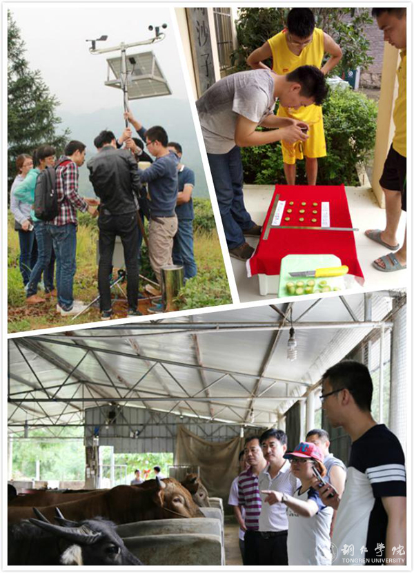 beat365中国唯一官网2016年“十大热词”